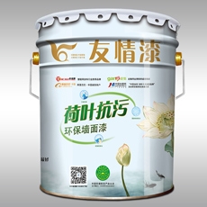 友情漆 荷叶抗污环保墙面漆